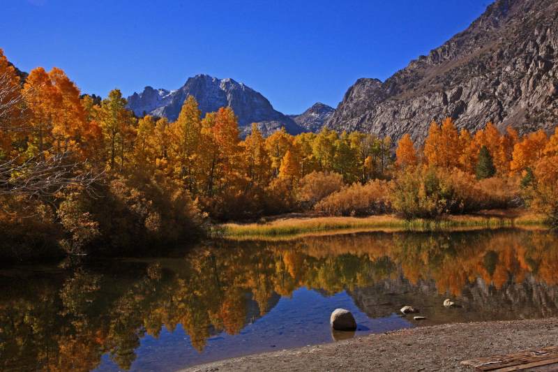 Mammoth Lakes: Fall Colors