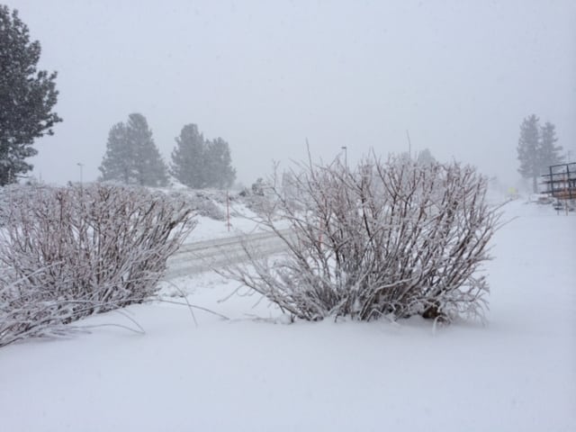 Is it Snowing in Mammoth?: Snow Update 5 Snow storm, brush,