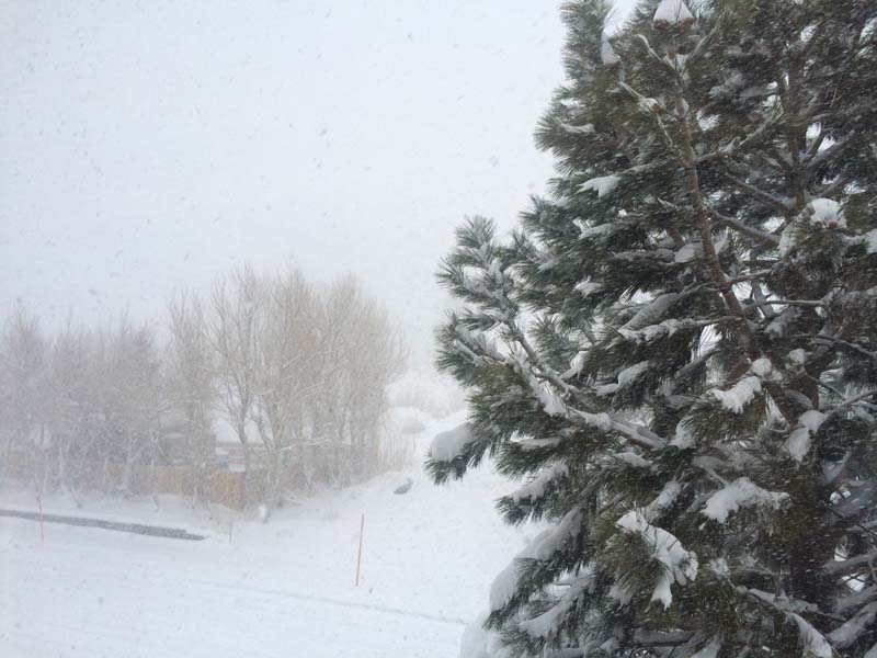 Mammoth Lakes: It's Dumping Snow!! 4 Dump Alert