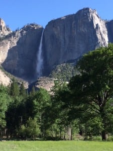 Yosemite National Park & Mammoth Lakes: Mountain Home 5 Yosemite National Park