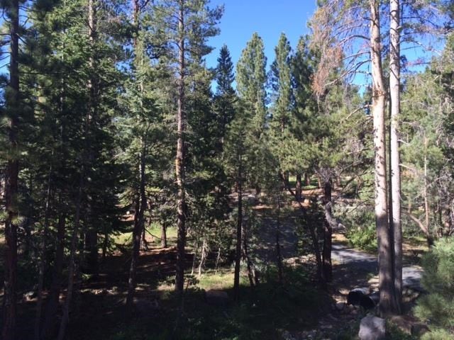 230 Joaquin Road:Real Estate Listing in Mammoth Lakes 5 Views