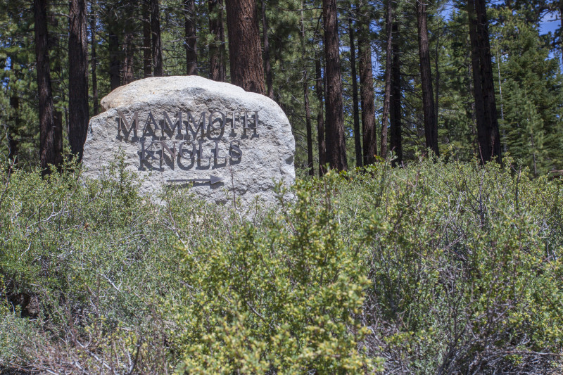 Mammoth Knolls Neighborhood:Mammoth Lakes Real Estate