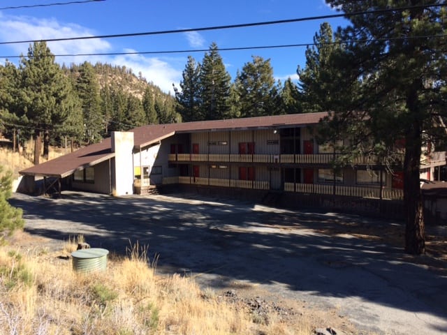 Blight and Appearance: Mammoth Lakes
