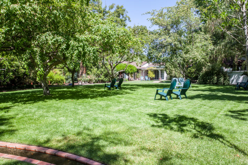 garden