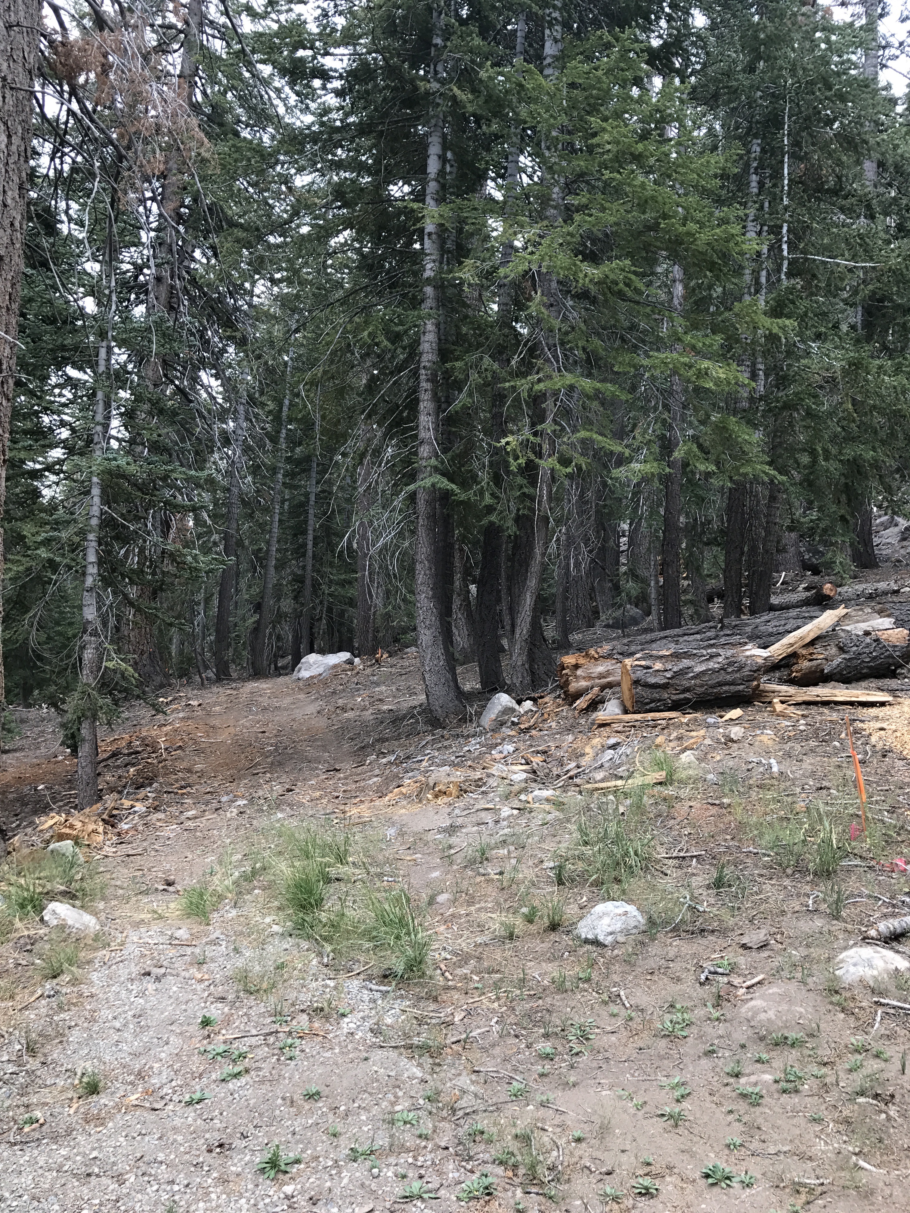 238 Woodmen Street: Mammoth Lakes 8 Lot on Woodmen Street