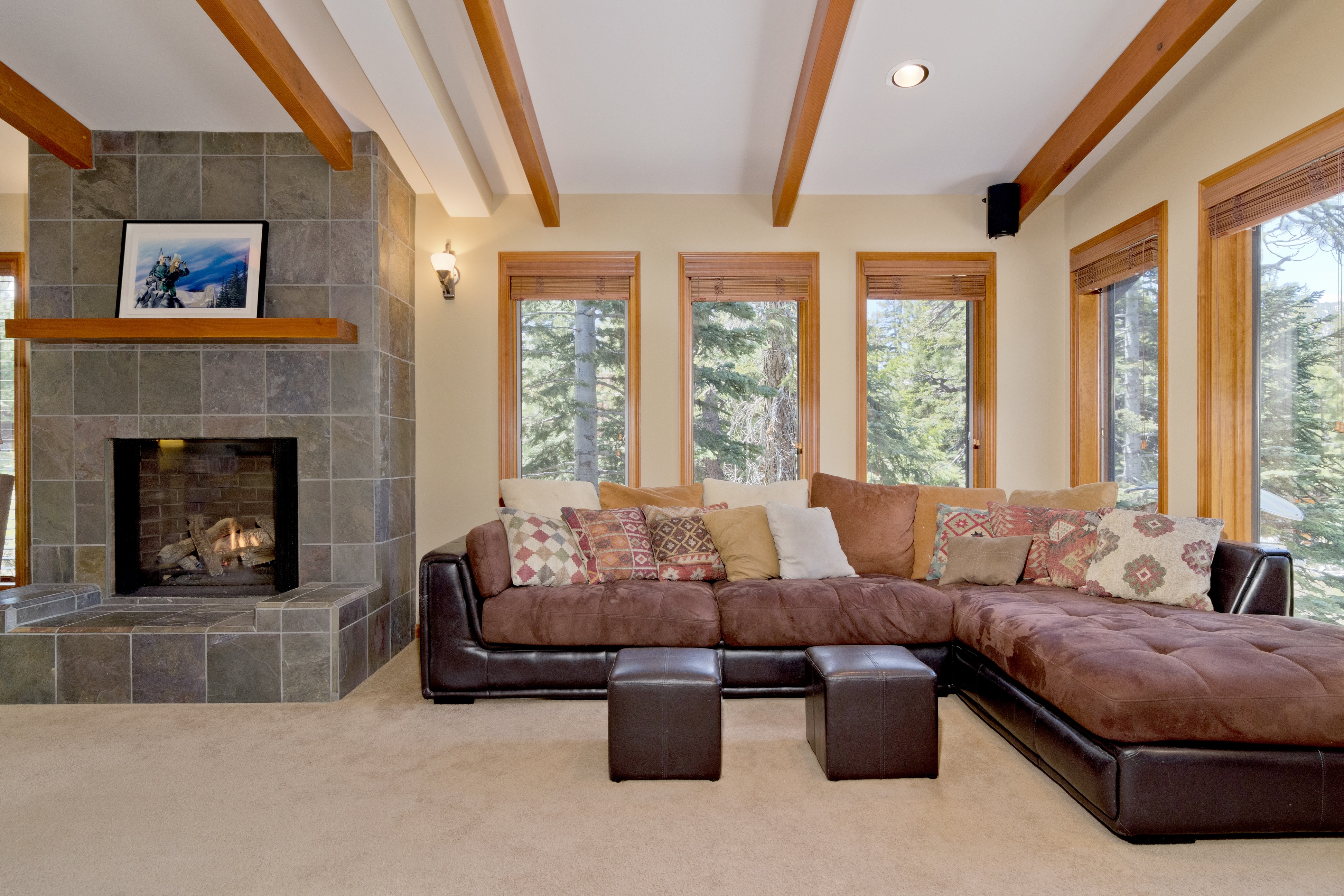 Living Room 141 Silver Tip