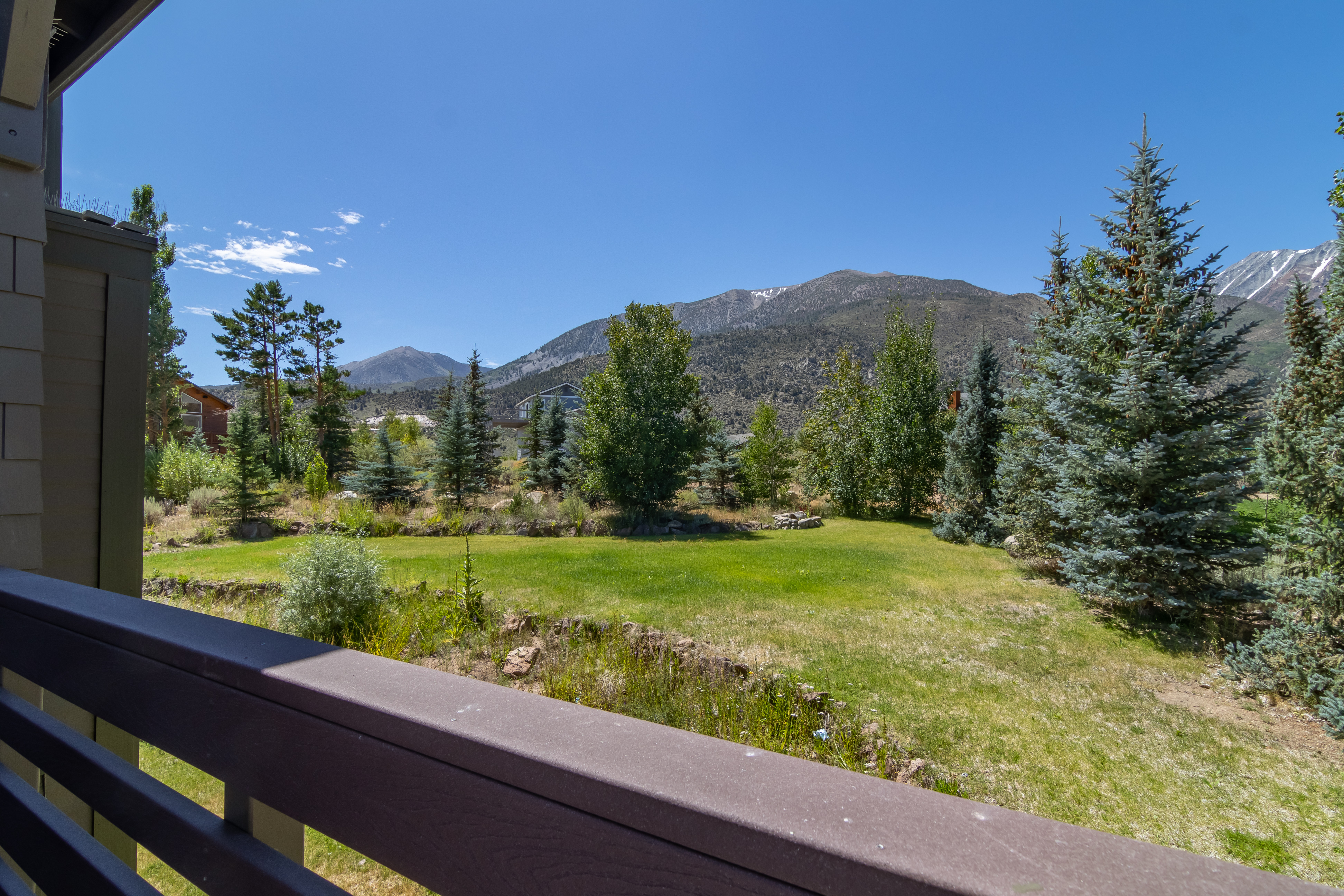 376 Sierra Springs- Yard