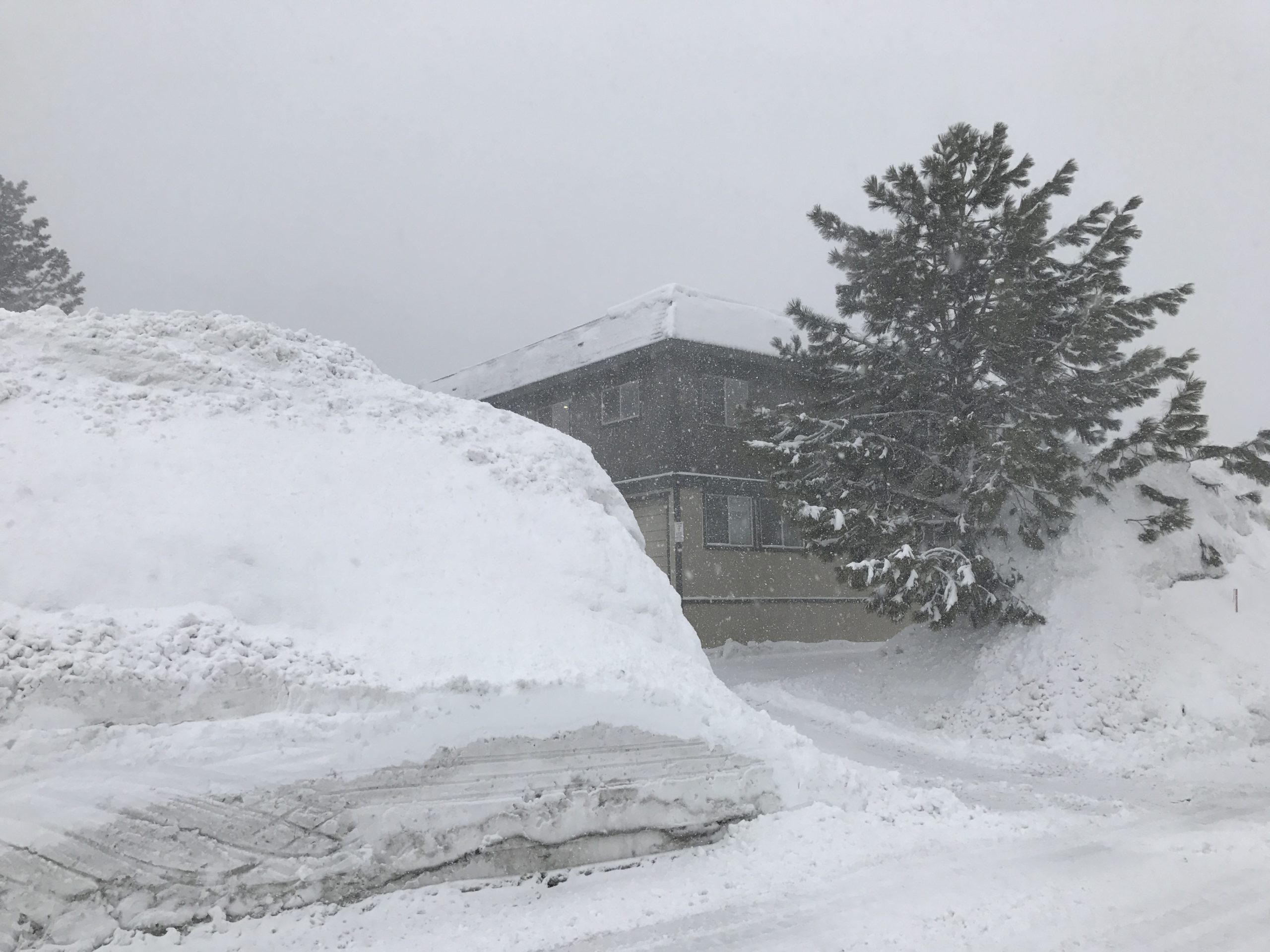 Winter of 2017