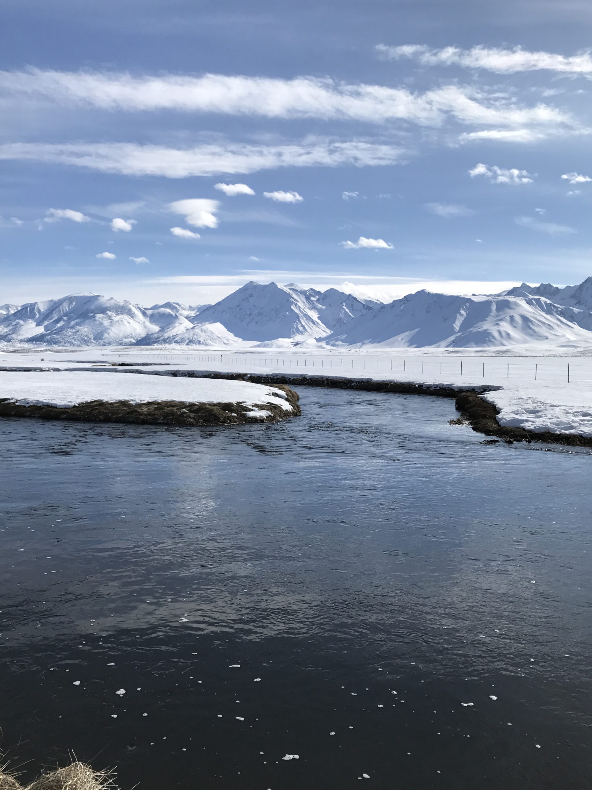 Winter of 2017
