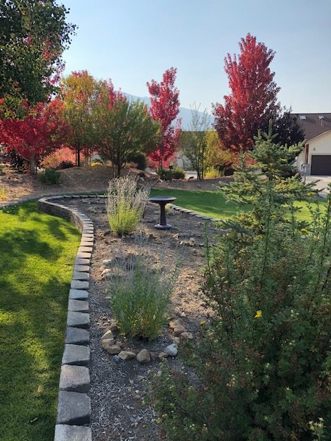75 Larkspur Lane