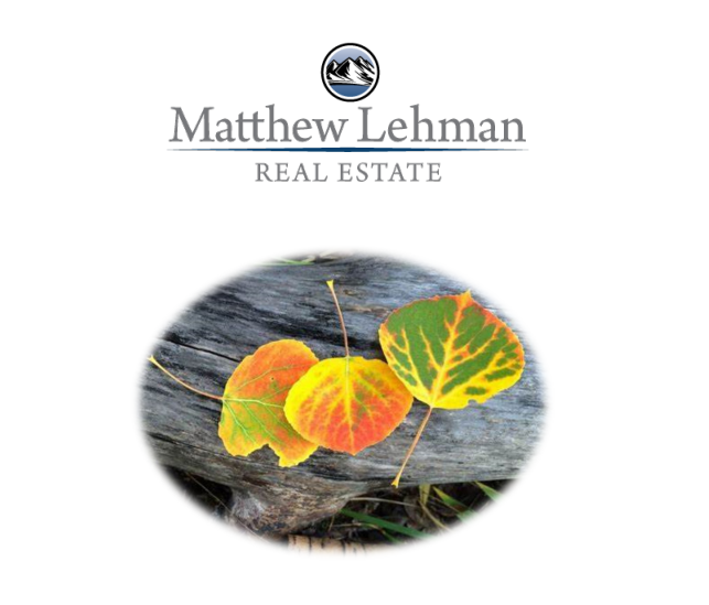 MAMMOTH LAKES MARKET TRENDS