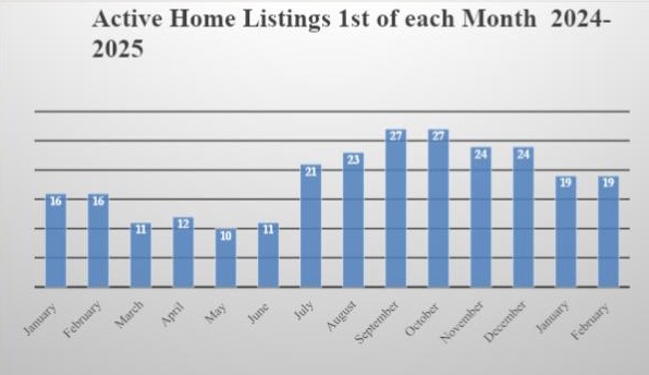 Market Report: February 2025 8 Market Report February 2025.pptx 2 Copy 1