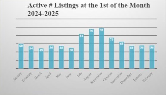 Market Report: February 2025 12 Market Report February 2025.pptx 4 Copy 1