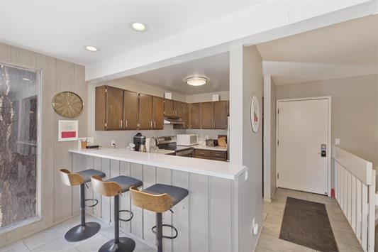248 Mammoth Slopes Dr. #113