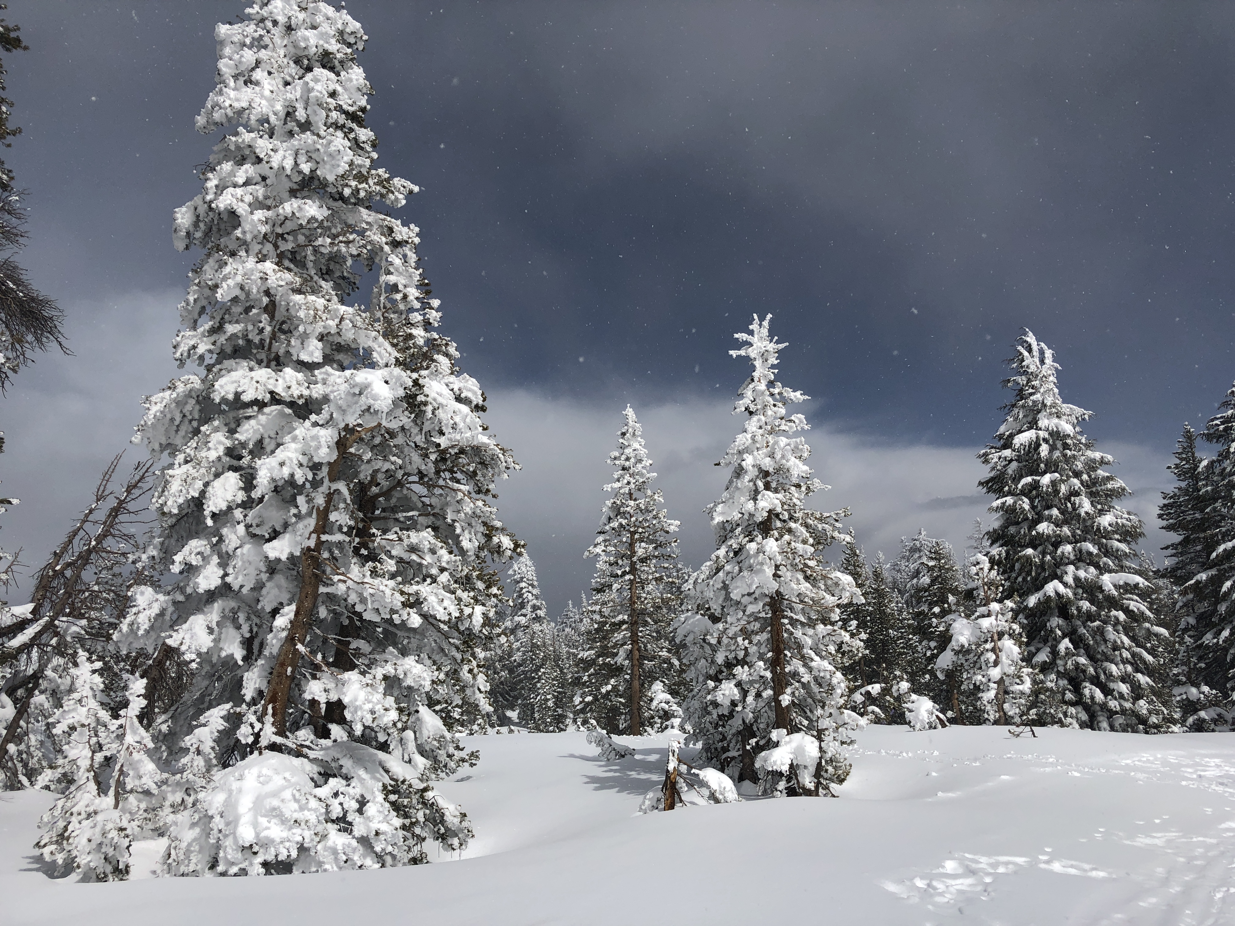 Why We Love Living in Mammoth Lakes 2026 4 2020 03 29 14.16.43