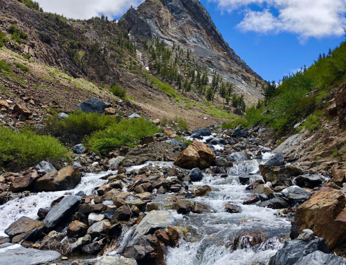 Spring Questions Mammoth Lakes 2026