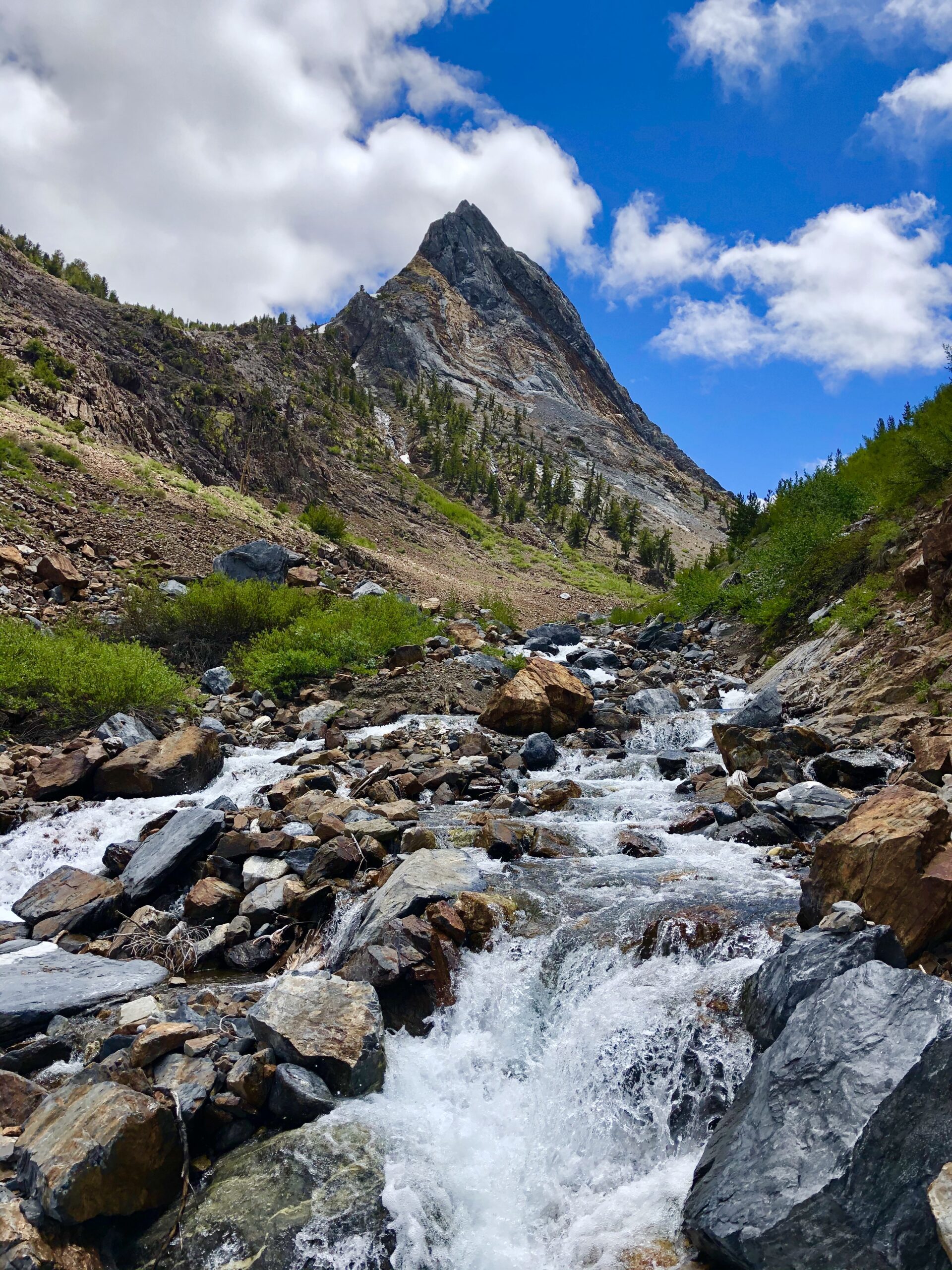 Spring Questions Mammoth Lakes 2026