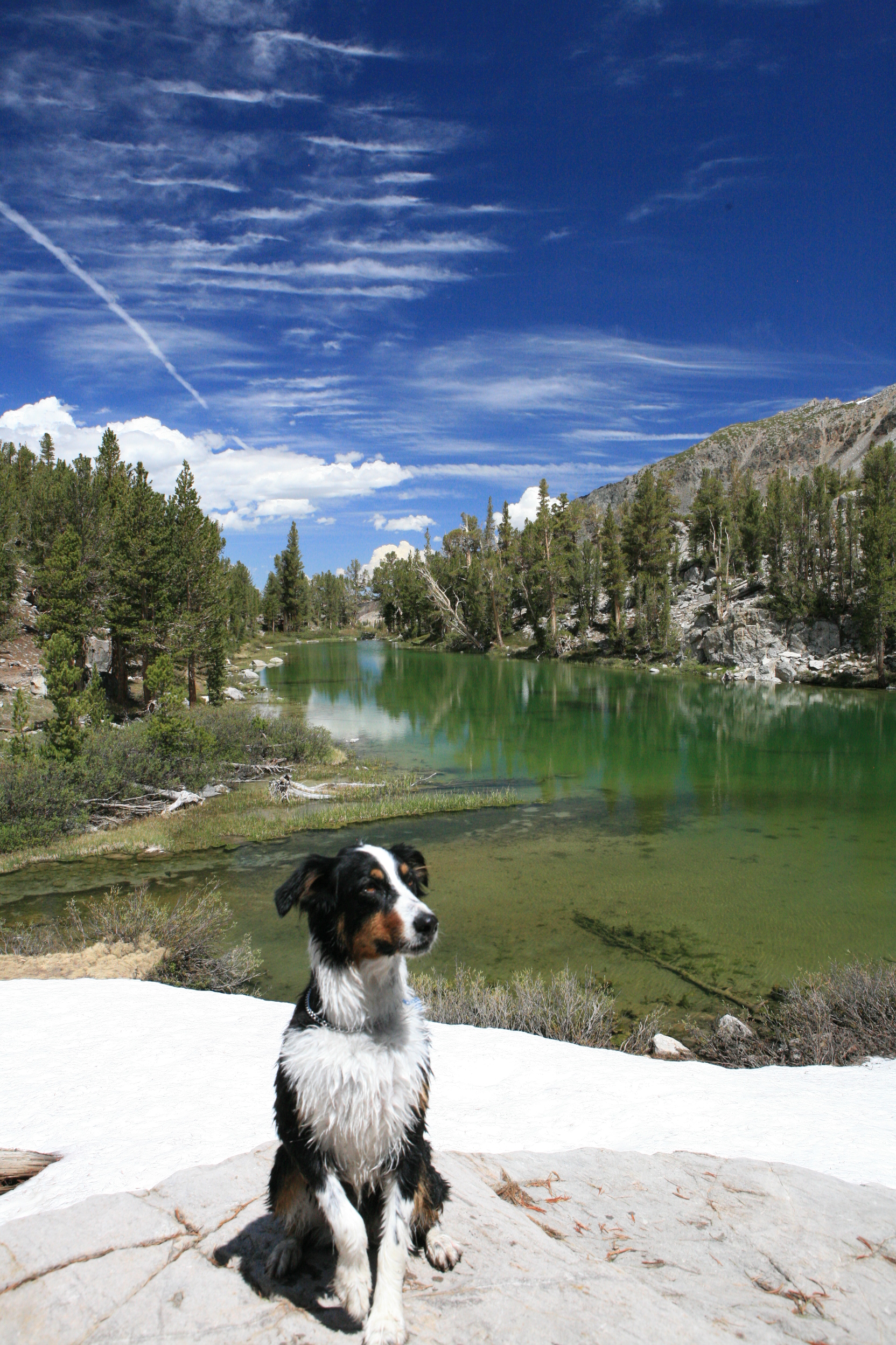 5 Great hikes near Mammoth Lakes 7 Duck Lake Trail This is not Duck but thats ok