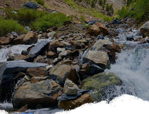 5 Epic Hiking Trails in Mammoth Lakes California (Local Favorites)