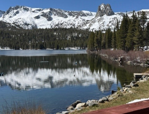 Fishmas in Mammoth: Opening Day of Fishing Season