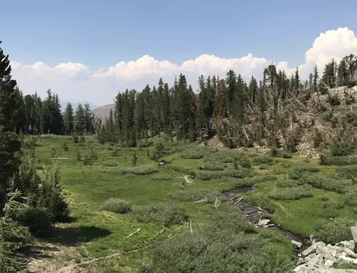 Spring Questions Mammoth Lakes 2026