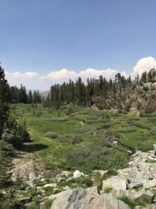 Sky Meadows Trail Mammoth Lakes California - Hiking Trails in Mammoth Lakes California