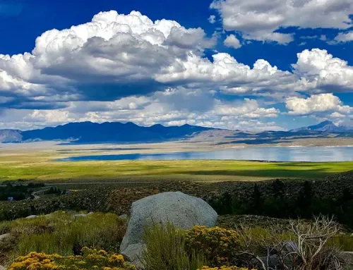 Mammoth Lakes Real Estate Market Report June 2026
