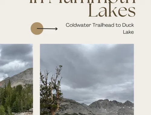 One of My Favorite Hikes in Mammoth Lakes: Coldwater Trailhead to Duck Lake