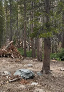 Fire Season in Mammoth Lakes 6 Screenshot 2026 07 10 092503