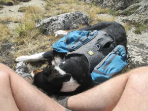 What No One Tells You About Moving to Mammoth Lakes 5 Your Body will stage a protest